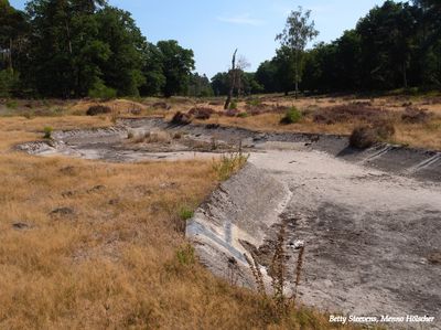 Noorderheide, betonnen beek - Noorderheide, concrete stream