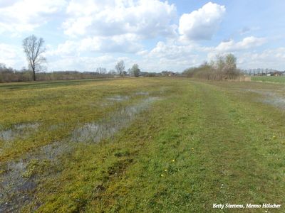 Het Hagenbeek: heel nat land - Very wet grassland