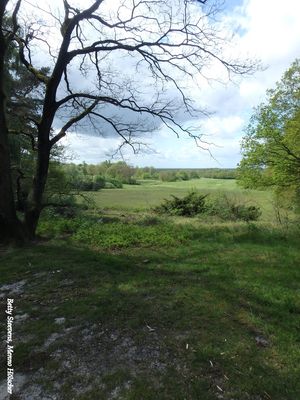 Uitzicht vanaf de Galgenberg