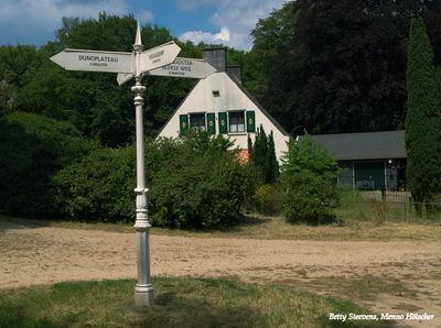 Wandelen op de Veluwe - Walking Veluwe