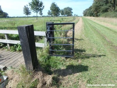 Olst - Deventer: In de uiterwaarden van de IJssel