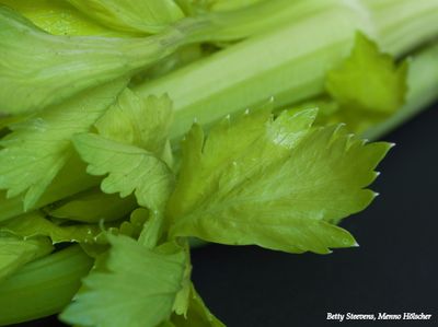 Bleekselderij - Celery