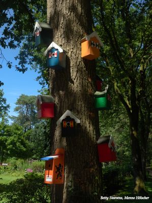 Onderweg: Vogelhuisjes aan een boom