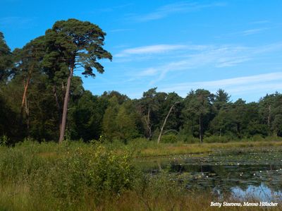 Rondom Ommen
