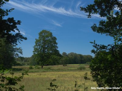 Het Laar: Parkland