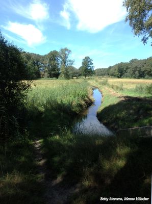 Het Laar: Parkland