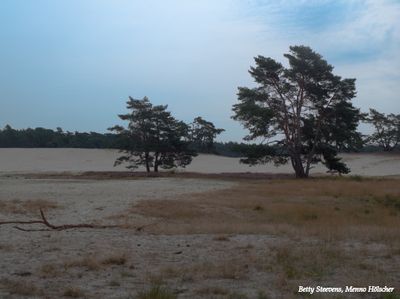 Zandverstuiving: Ommense Sahara