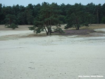 Zandverstuiving: Ommense Sahara