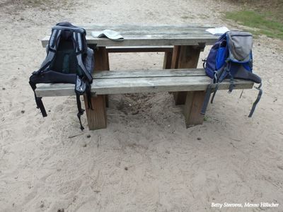 Zandverstuiving: Picknick bank