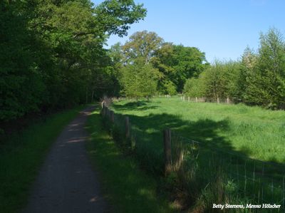 In de weides langs de Vordense Beek - In the meadows along the Vordense Beek