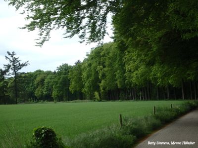 Beckenstraat (Hackfort)