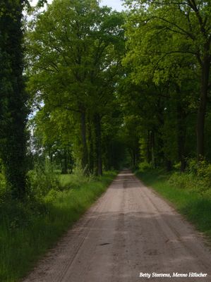 Bekmansdijk