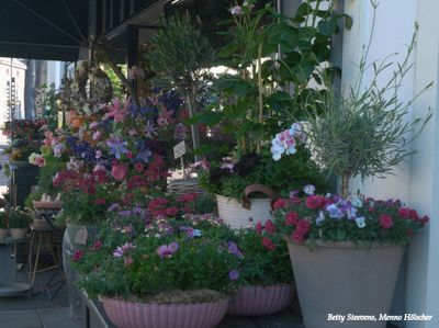 Bloemenwinkel - Flower shop
