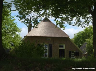 Boerderij - Farm