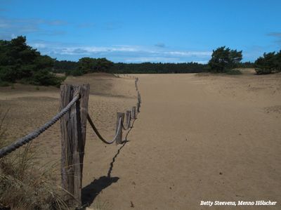 Hulshorsterzand