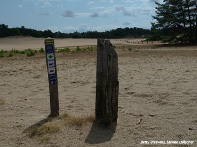 Trans Veluwe wandeling 2025