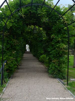 landgoed Staverden: De rozenboog - the roses lane