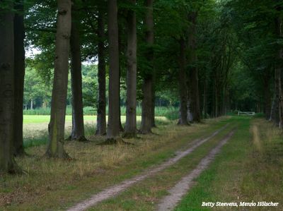 Loordijk bij kasteel Slangenburg