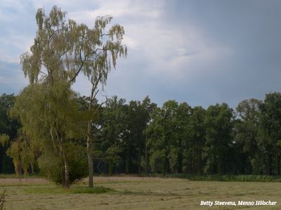 Op het landgoed