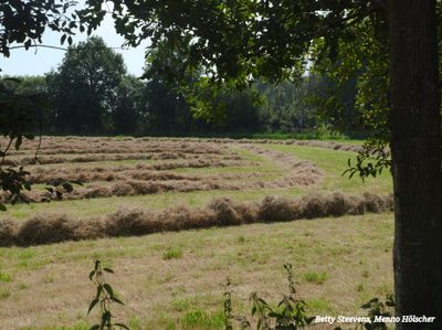 Traditioneel hooien