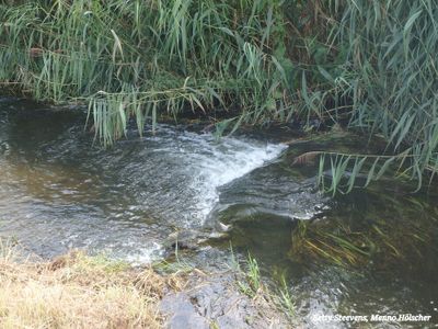 Beek bij de stuw