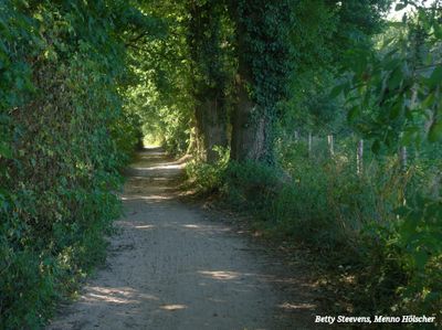 Wandelpad op de stuwwal