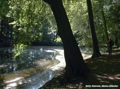 Wateropslag voor landhuis en tuin
