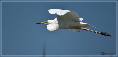DSC_2105a.JPG