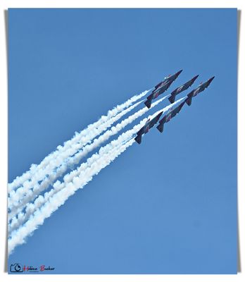 DSC_3591a.JPG