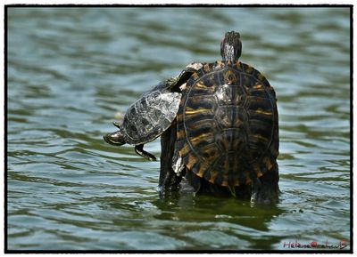DSC_0086a.JPG