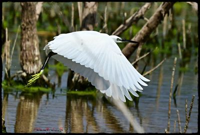 DSC_2456a.JPG