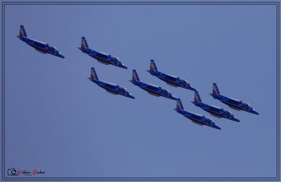 _53A2289a.JPG