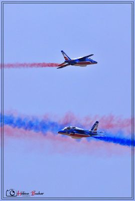 _53A2379a.JPG