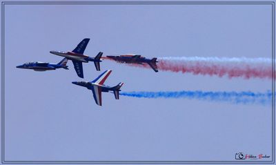 _53A2635a.JPG