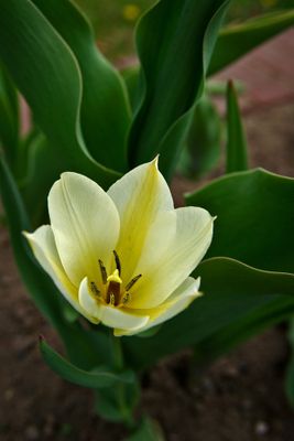 DSC07701_2_web.jpg