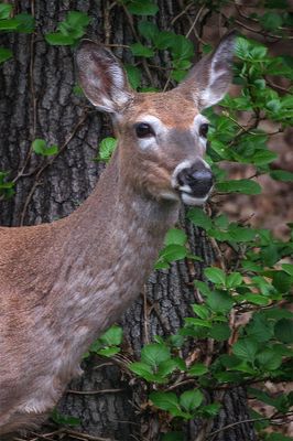 DSC08040_1_Sn_web.jpg