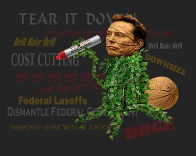 g13/94/892094/3/175240561.c174a381.JPEG