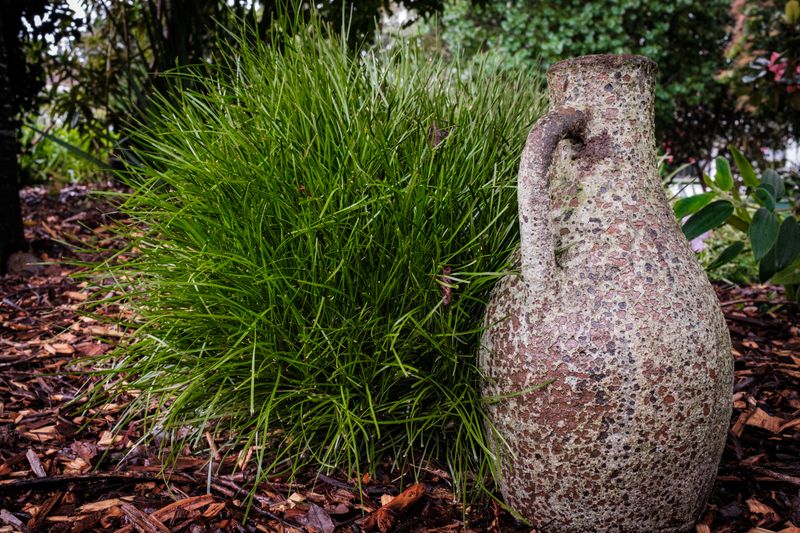 DSCF4689-Edit.jpg