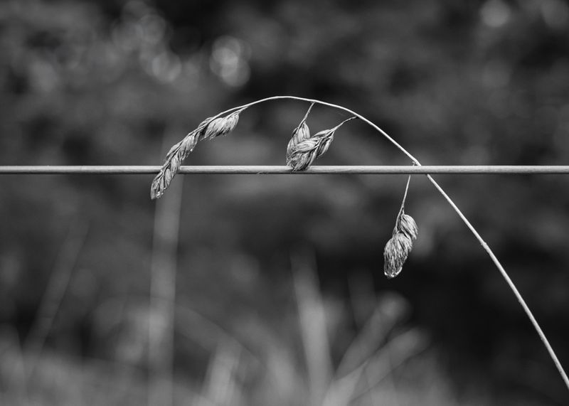DSCF5369-Edit-2.jpg