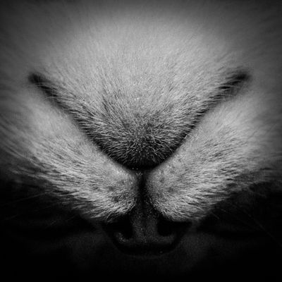 DSCF5046-Edit-4.jpg