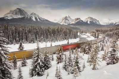 Joe Desjardins 001 Winterscape