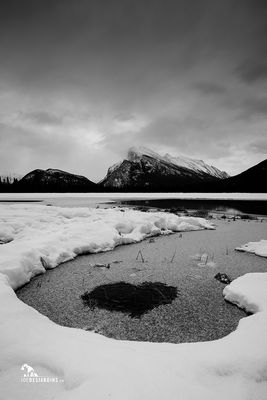 Joe Desjardins 004 Winterscape