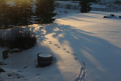 Lorraine Hill 002 Winterscape