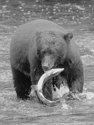 Finn Jakobsen 006 Black and White