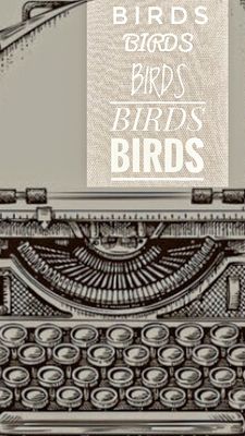 Mark Collard 001 Birds of all Types