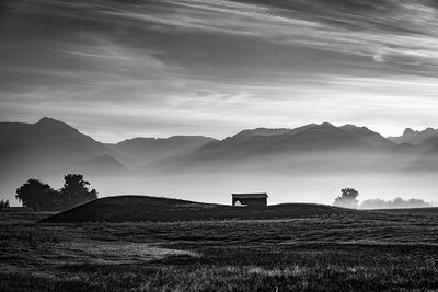 Pat Johnston 001 Black and White - Mornng Mist - Pablo, Montana