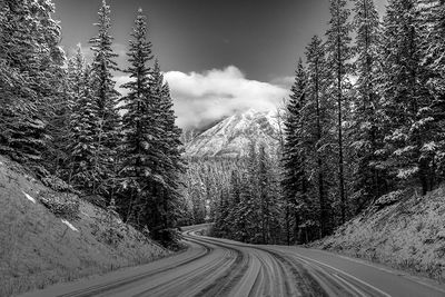 Pat Johnston 003 Black and White - Winter Road to Minnewanka