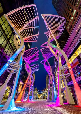 Karen vanVlaanderen 004 Downtown Calgary at Night