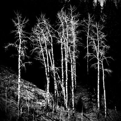 Tracy Hindle 001 Black and White - Spooky at Night