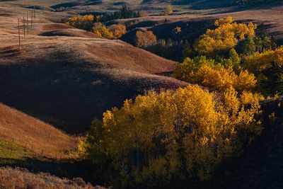 Ruth Klinkhammer 001 Glenbow Sunrise